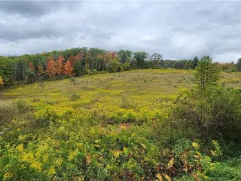 Property at Hanyon Road, Canisteo, NY 14823