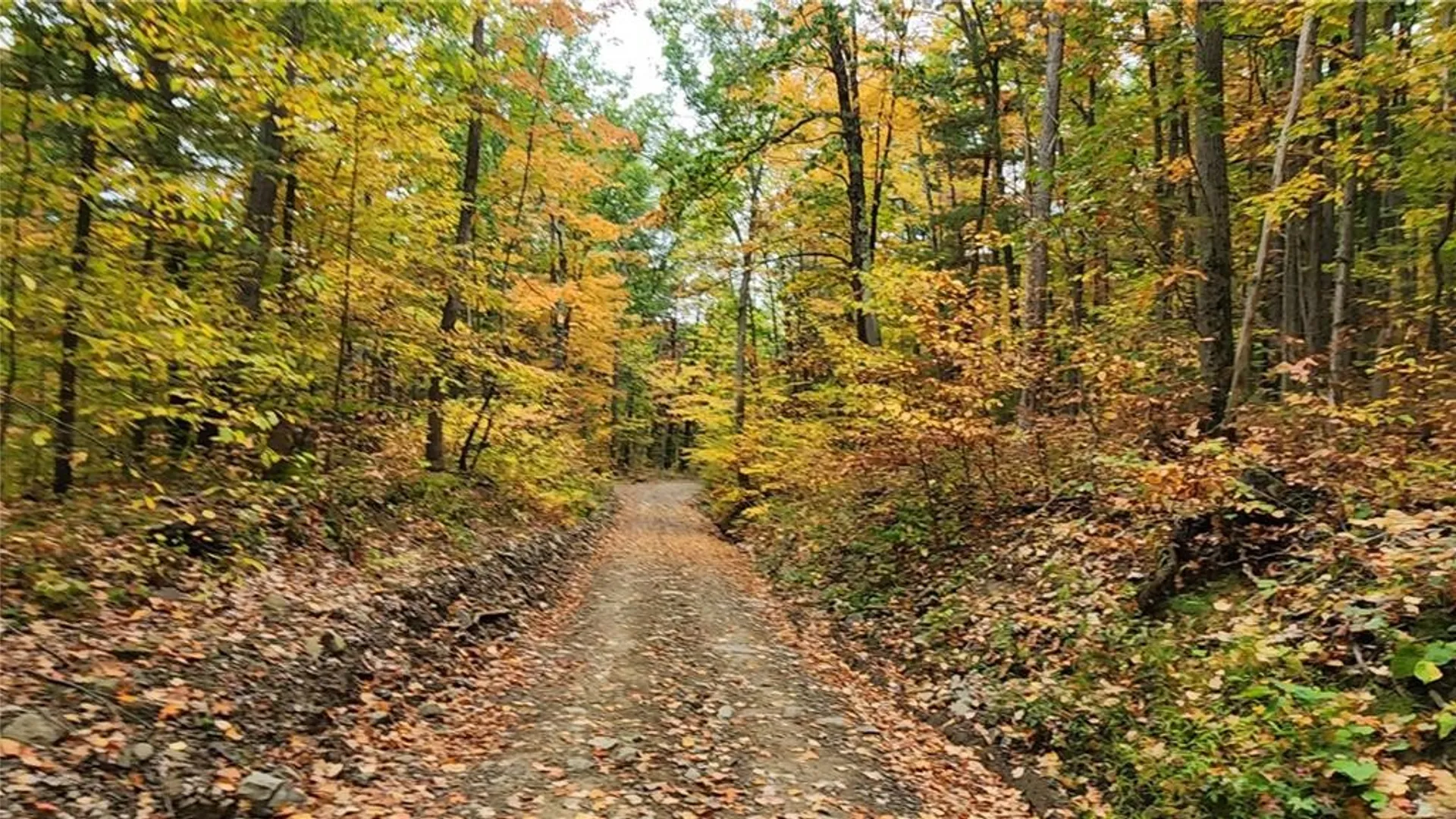 Property at Hanyon Road, Canisteo, NY 14823 3