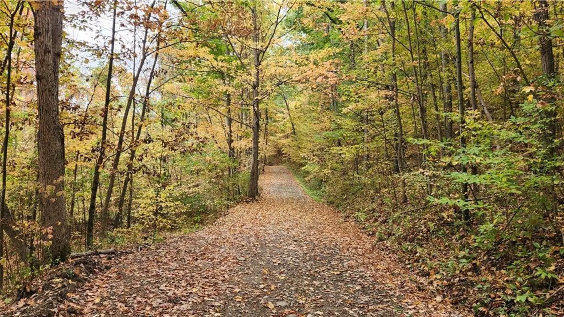 Property at Hanyon Road, Canisteo, NY 14823 5