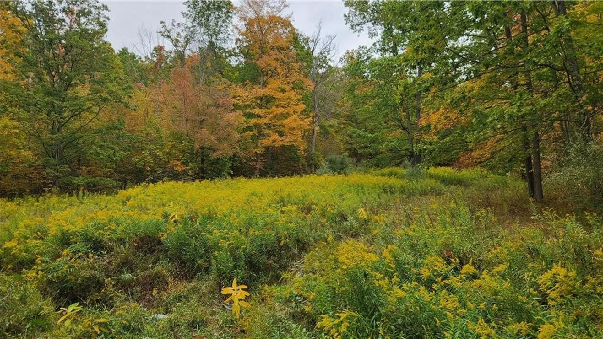Property at Hanyon Road, Canisteo, NY 14823 6