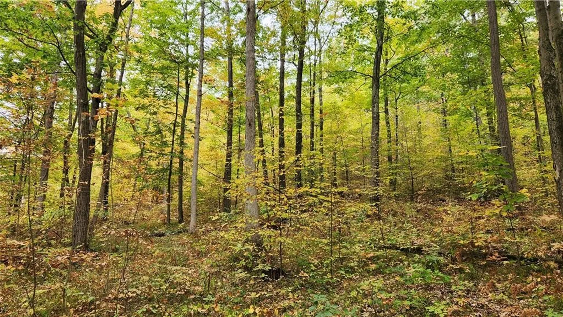 Property at Hanyon Road, Canisteo, NY 14823 7