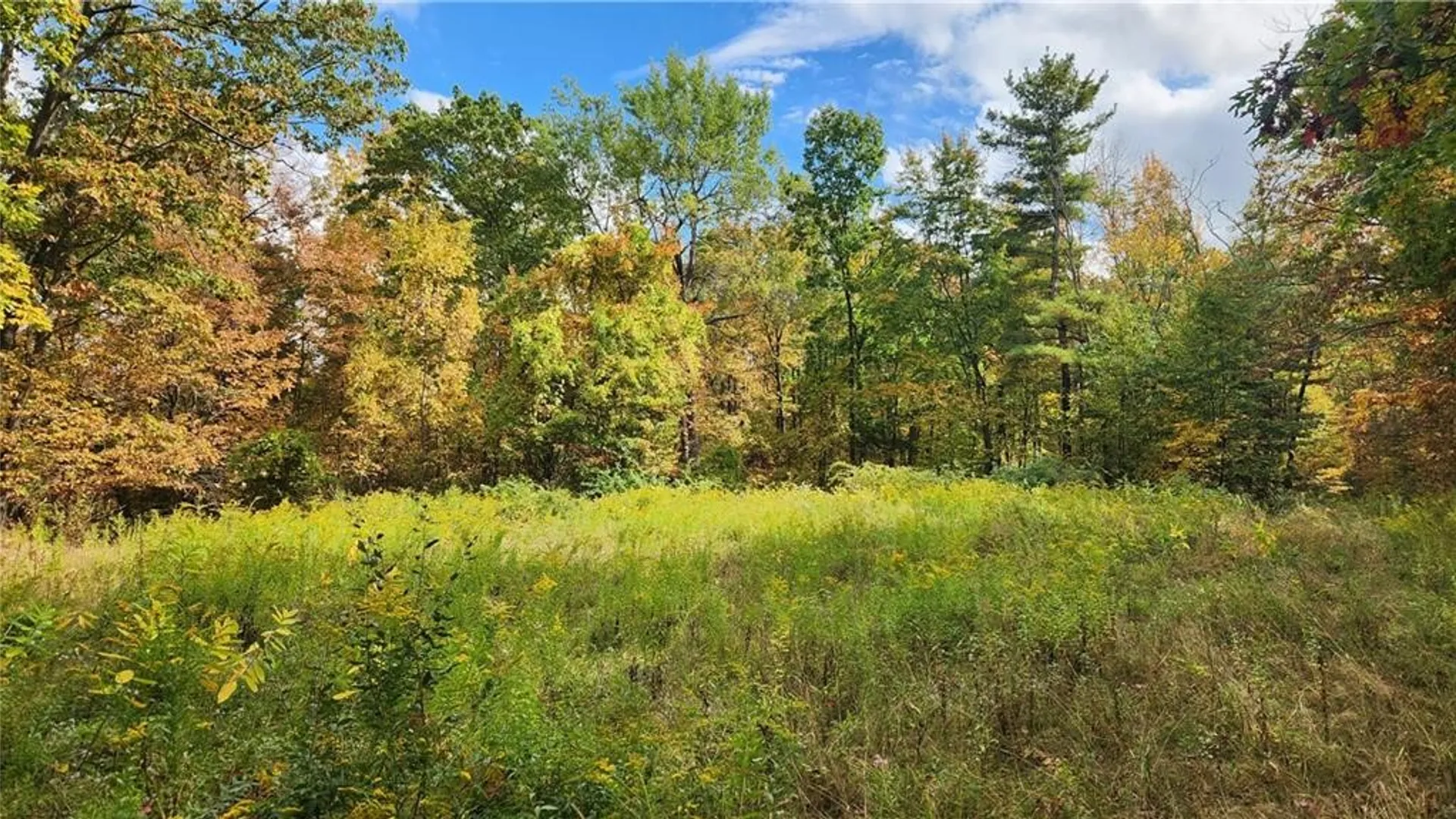 Property at Hanyon Road, Canisteo, NY 14823 8