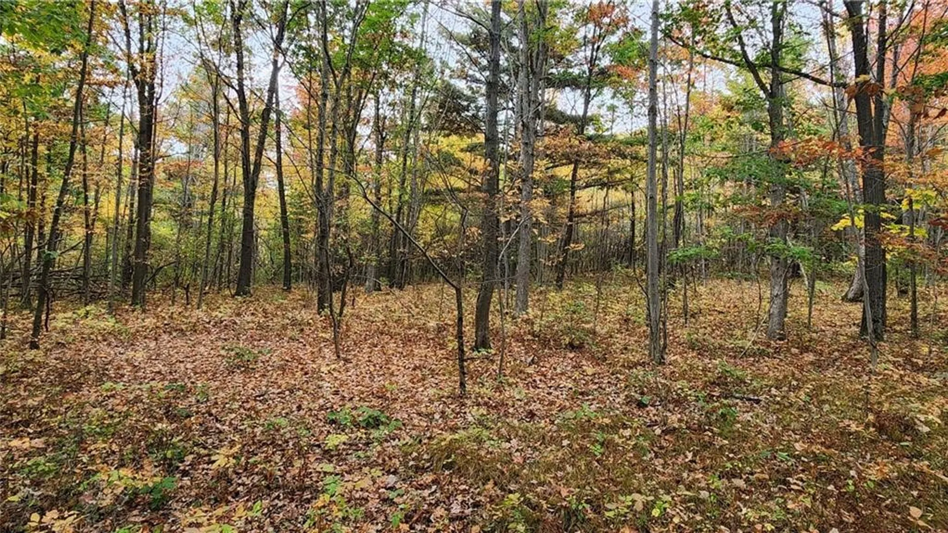 Property at Hanyon Road, Canisteo, NY 14823 9
