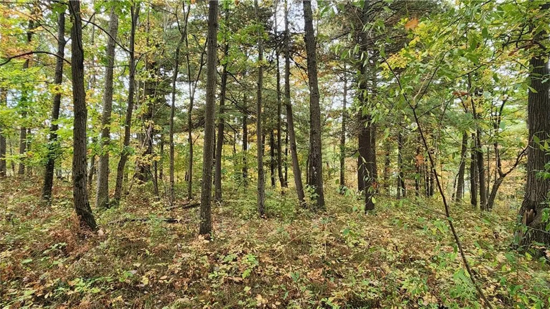 Property at Hanyon Road, Canisteo, NY 14823 10