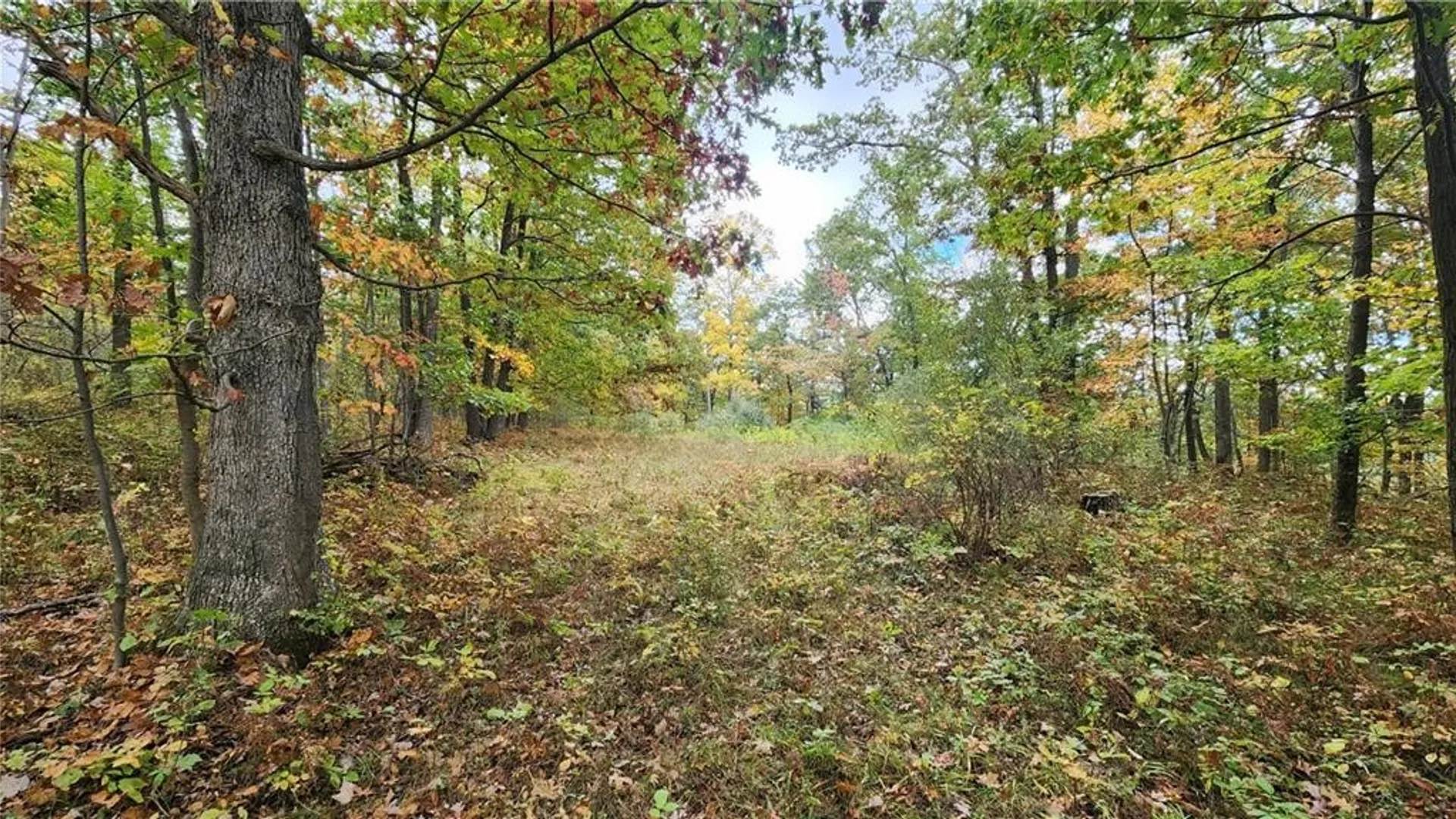 Property at Hanyon Road, Canisteo, NY 14823 11