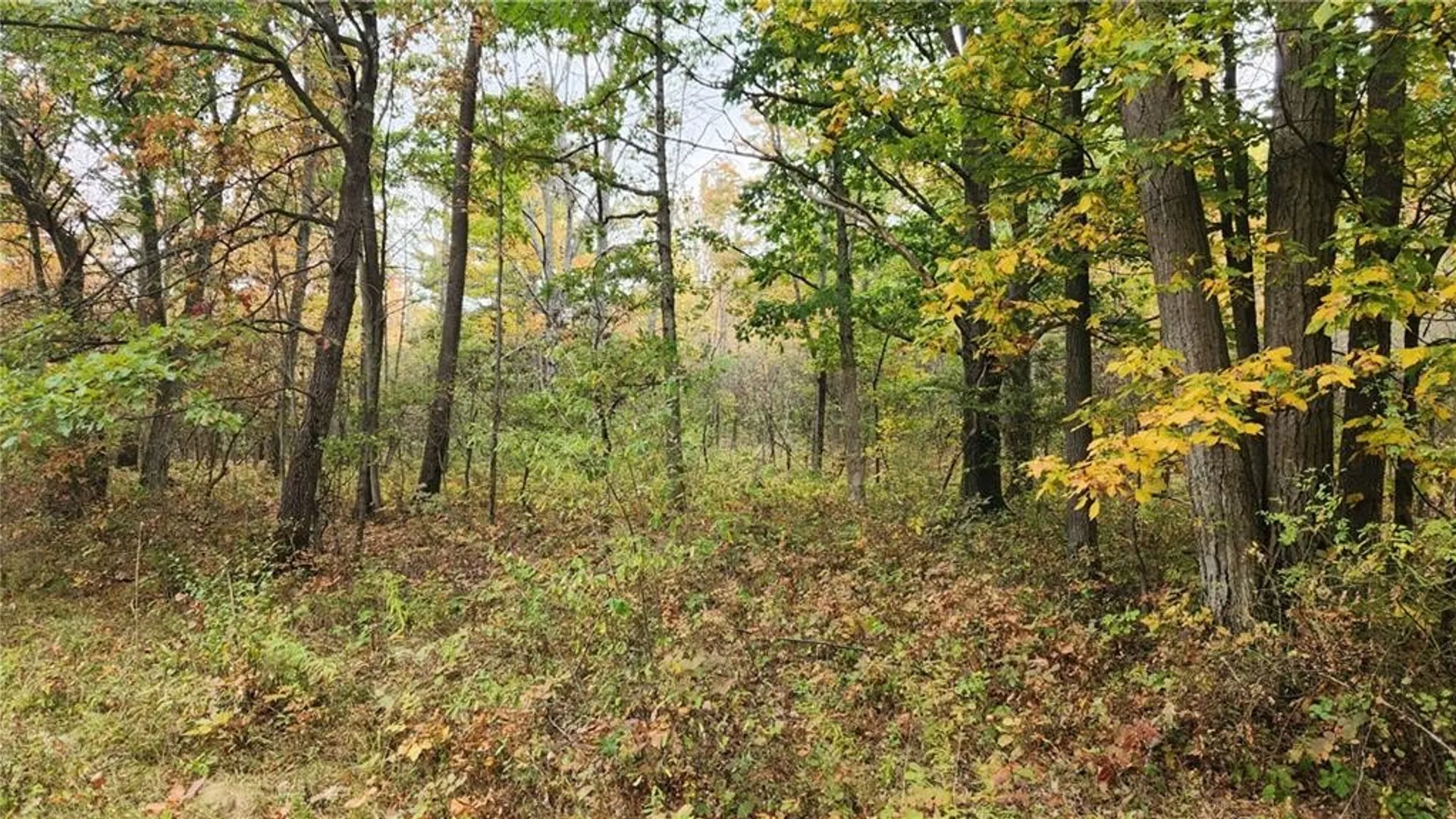 Property at Hanyon Road, Canisteo, NY 14823 12