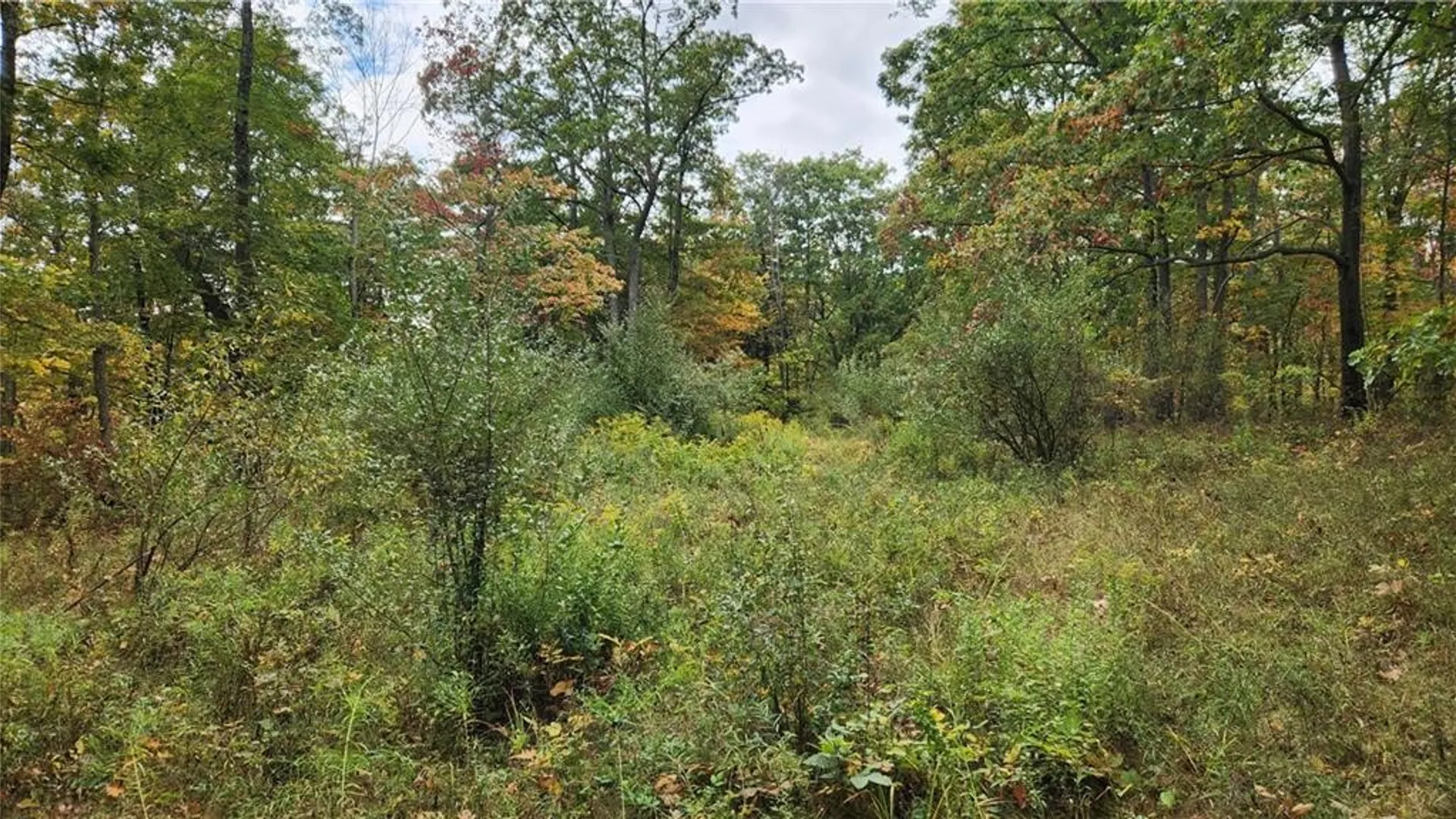 Property at Hanyon Road, Canisteo, NY 14823 13