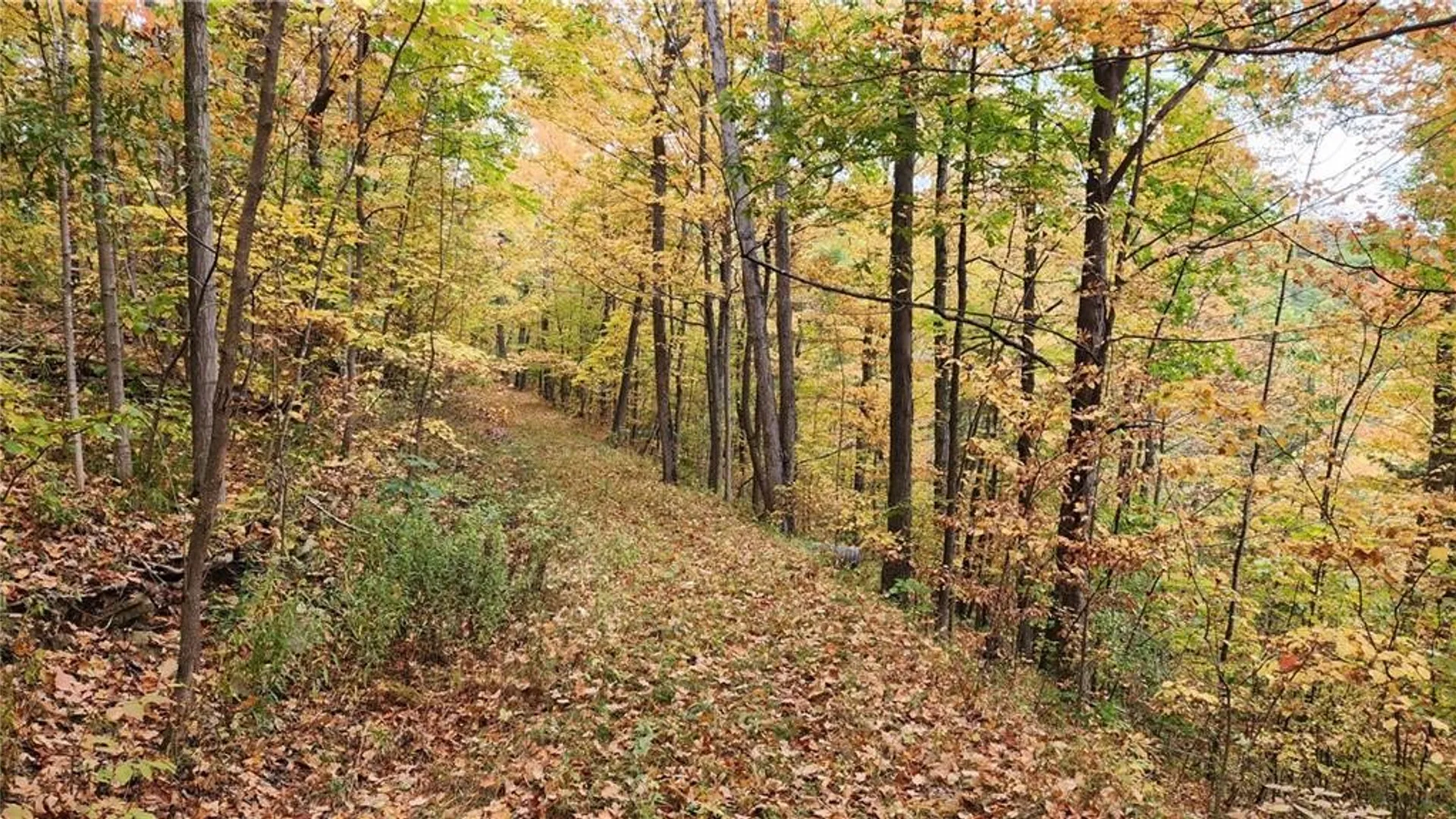 Property at Hanyon Road, Canisteo, NY 14823 14