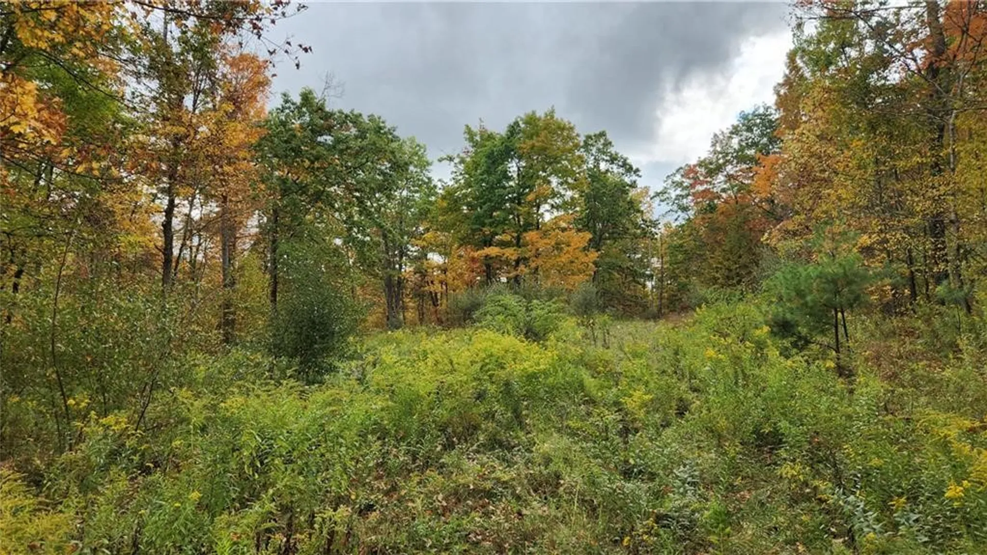 Property at Hanyon Road, Canisteo, NY 14823 15