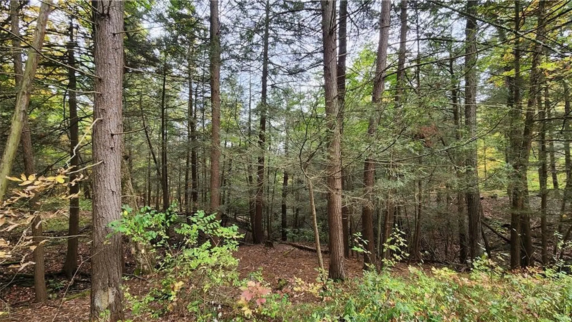 Property at Hanyon Road, Canisteo, NY 14823 16