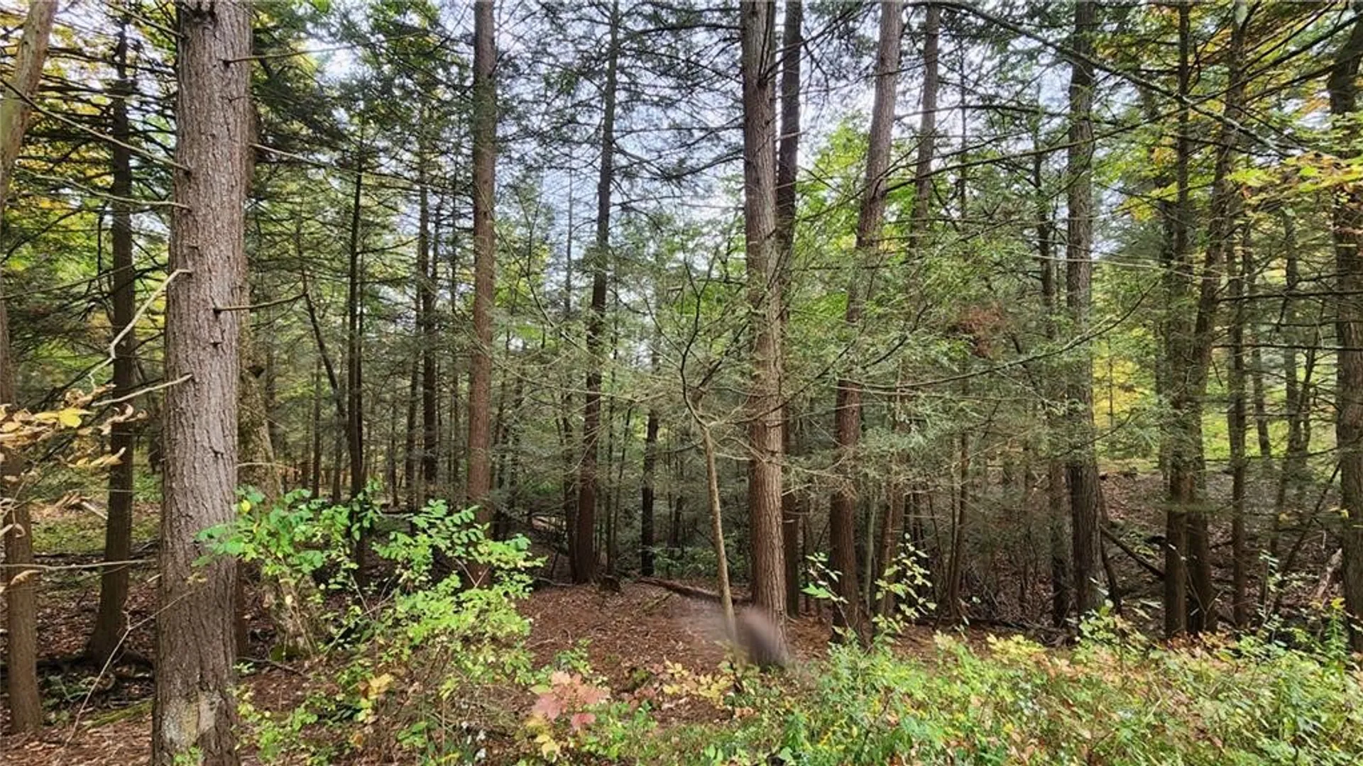 Property at Hanyon Road, Canisteo, NY 14823 17