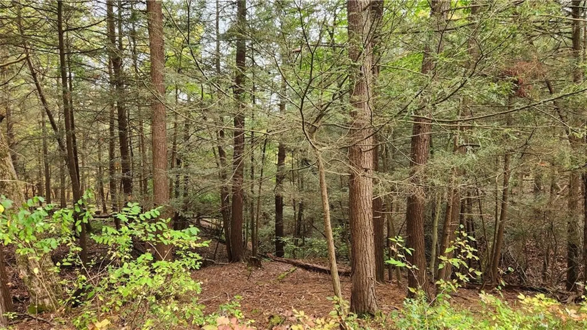 Property at Hanyon Road, Canisteo, NY 14823 18