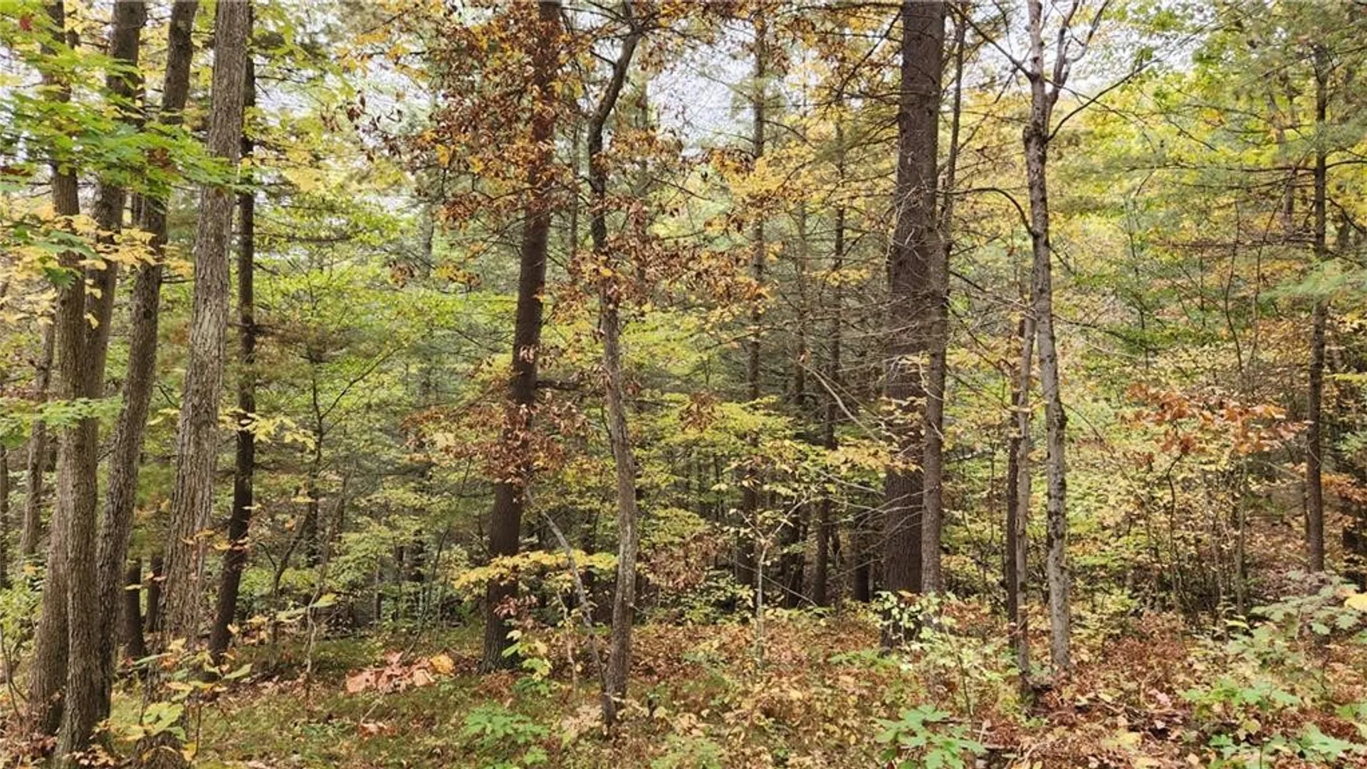 Property at Hanyon Road, Canisteo, NY 14823 19