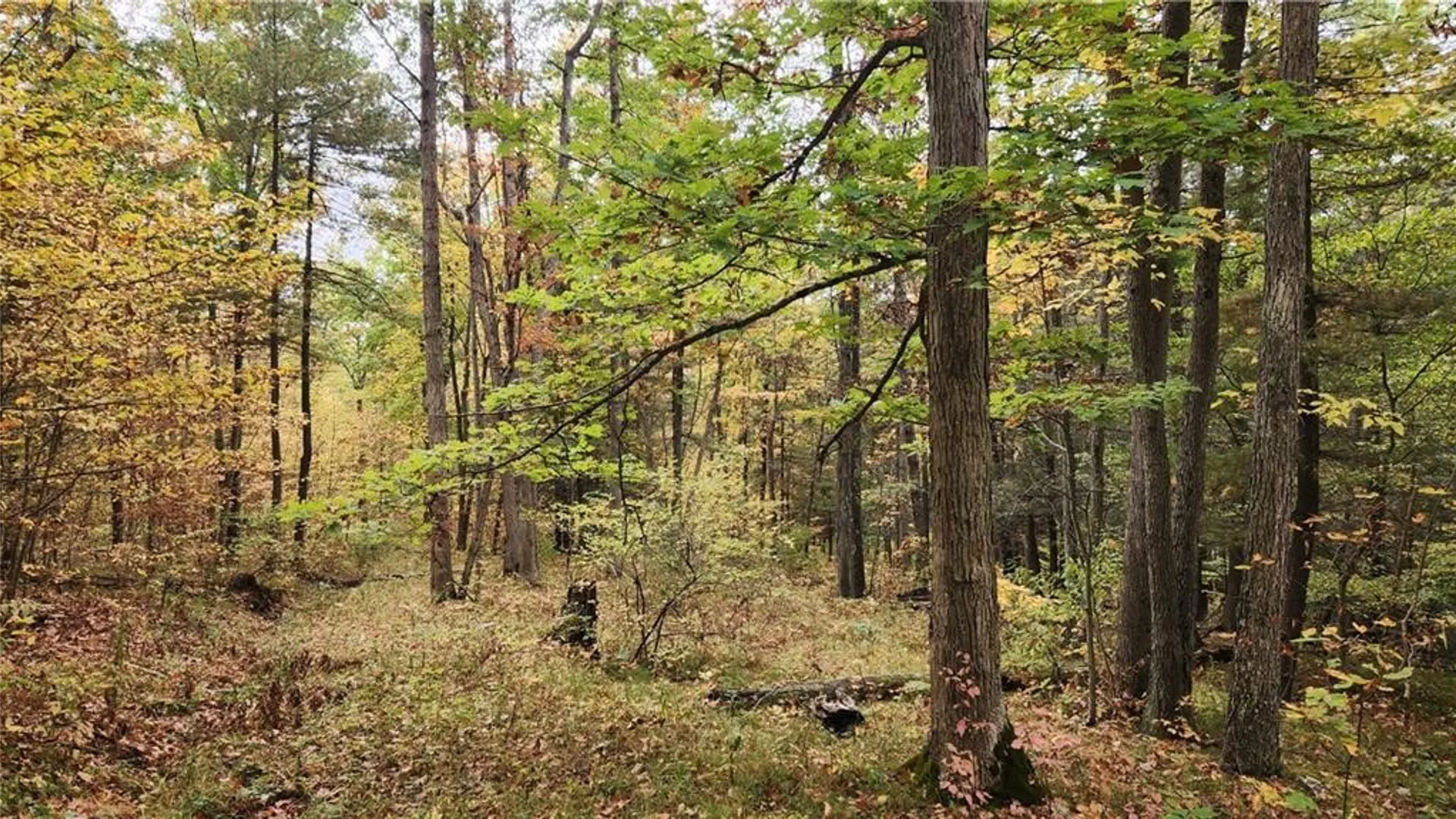 Property at Hanyon Road, Canisteo, NY 14823 20