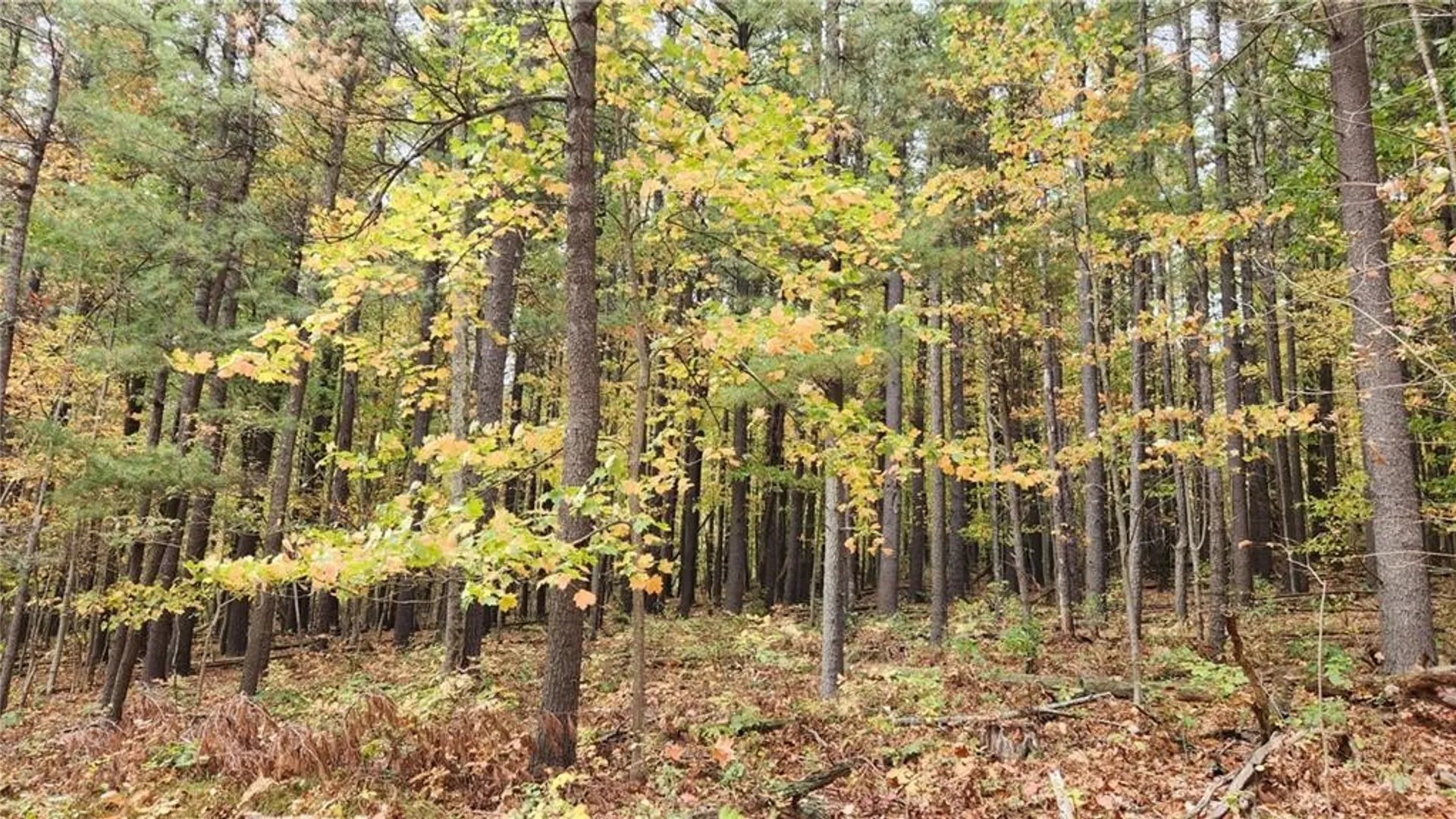 Property at Hanyon Road, Canisteo, NY 14823 21