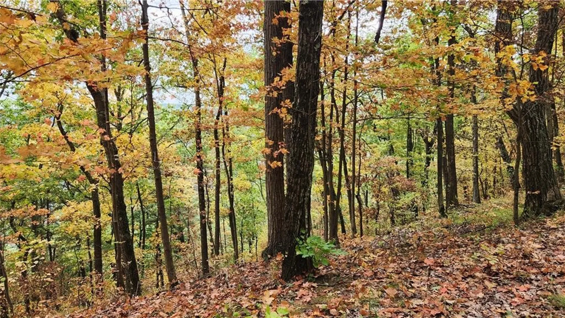 Property at Hanyon Road, Canisteo, NY 14823 22