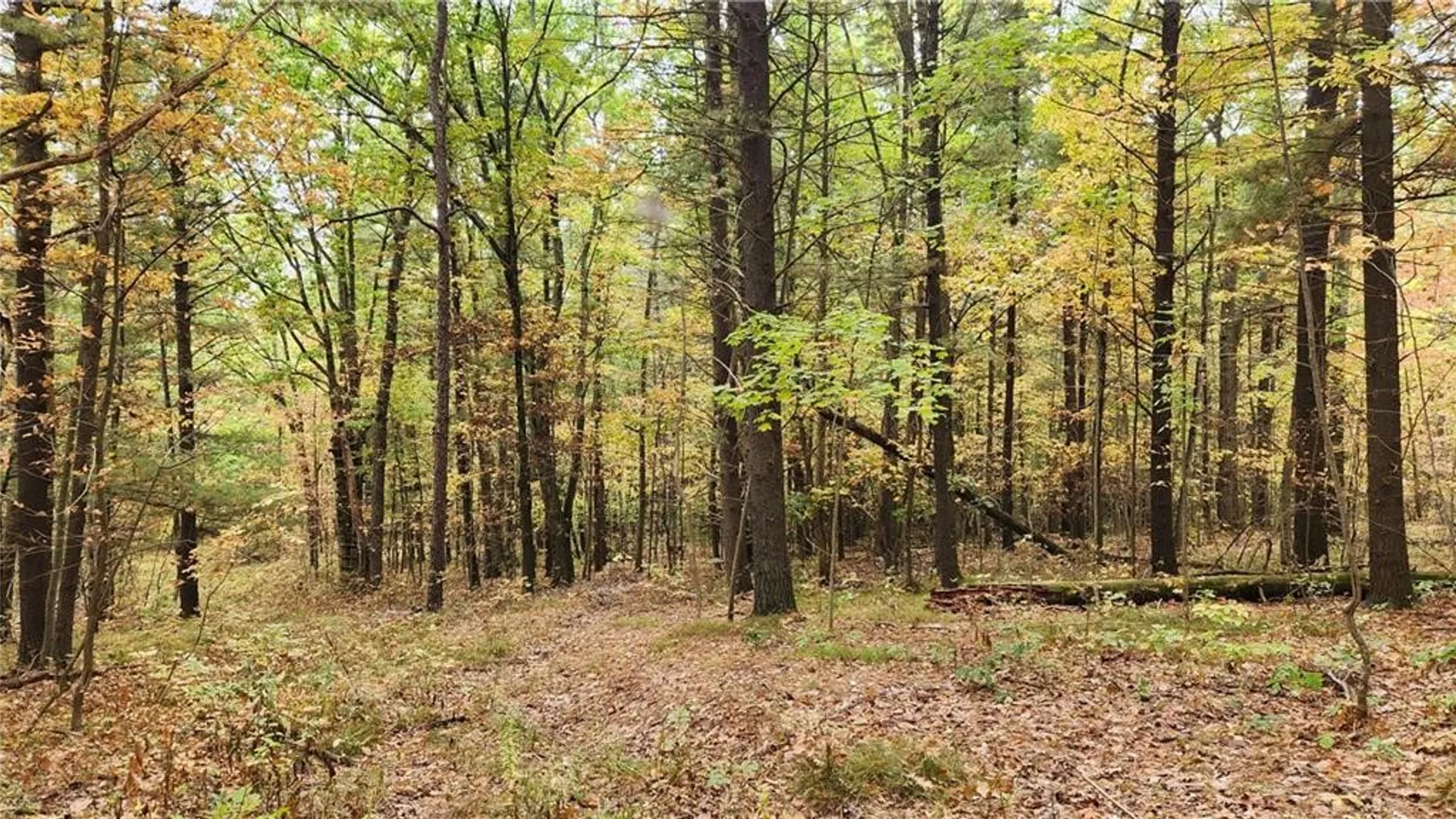 Property at Hanyon Road, Canisteo, NY 14823 23