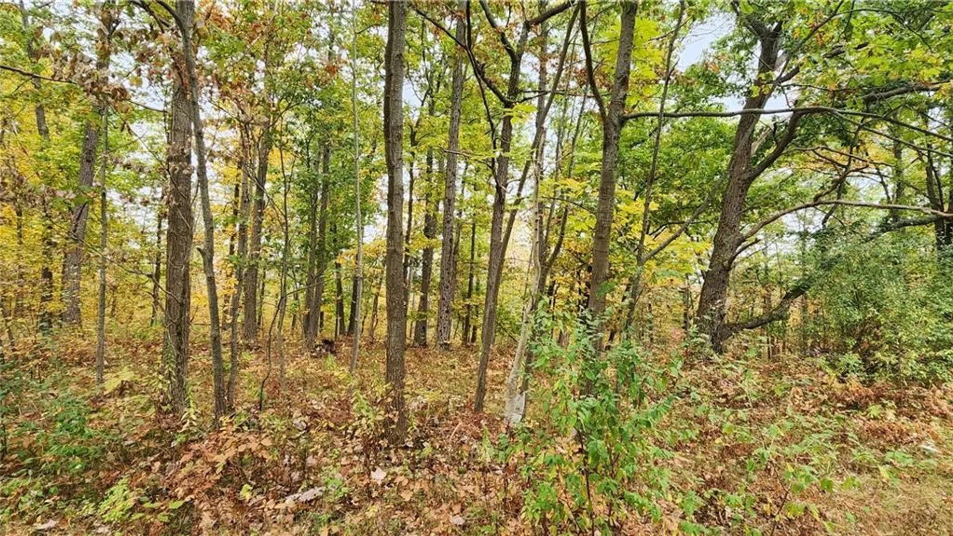 Property at Hanyon Road, Canisteo, NY 14823 24