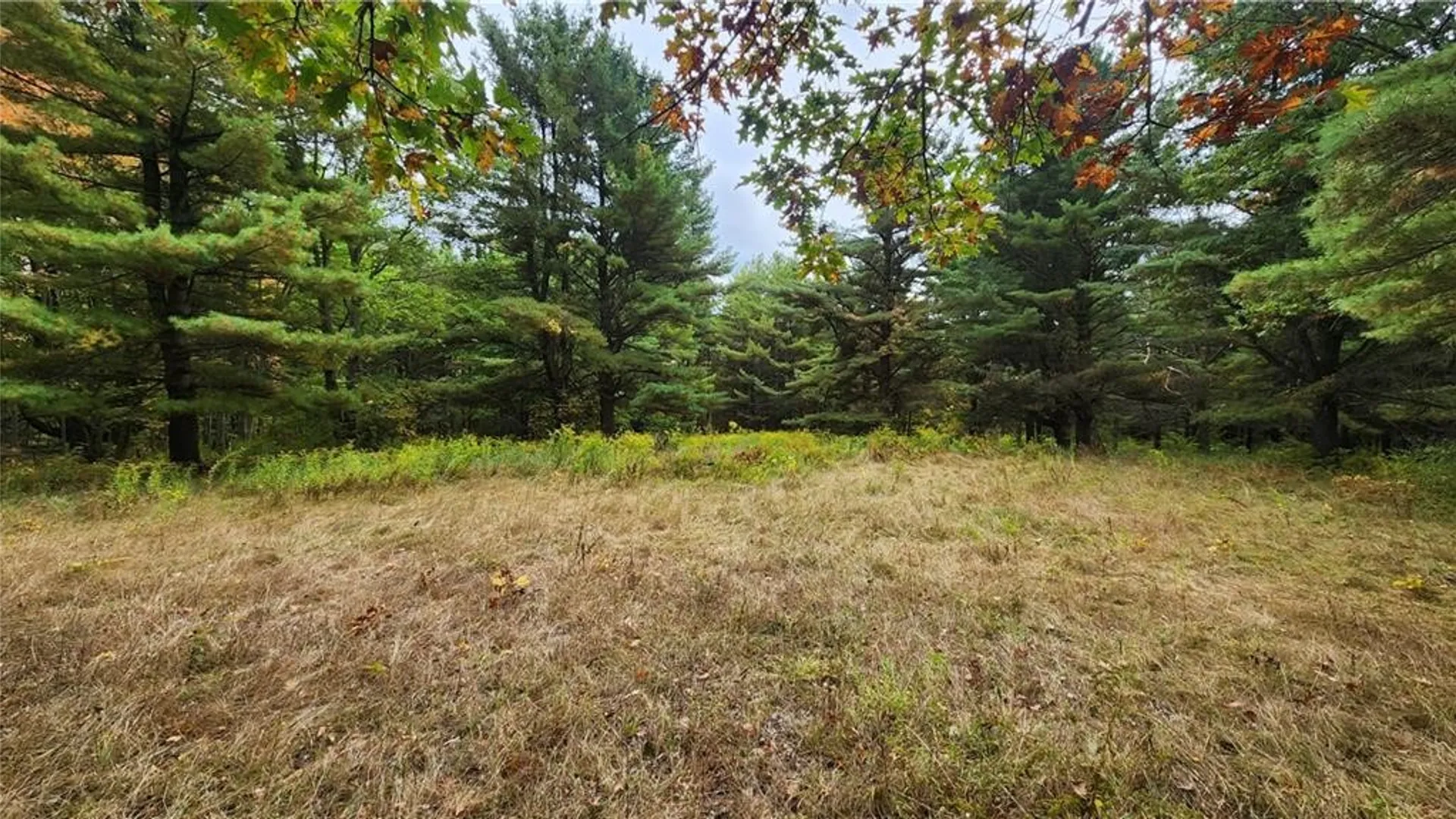 Property at Hanyon Road, Canisteo, NY 14823 26