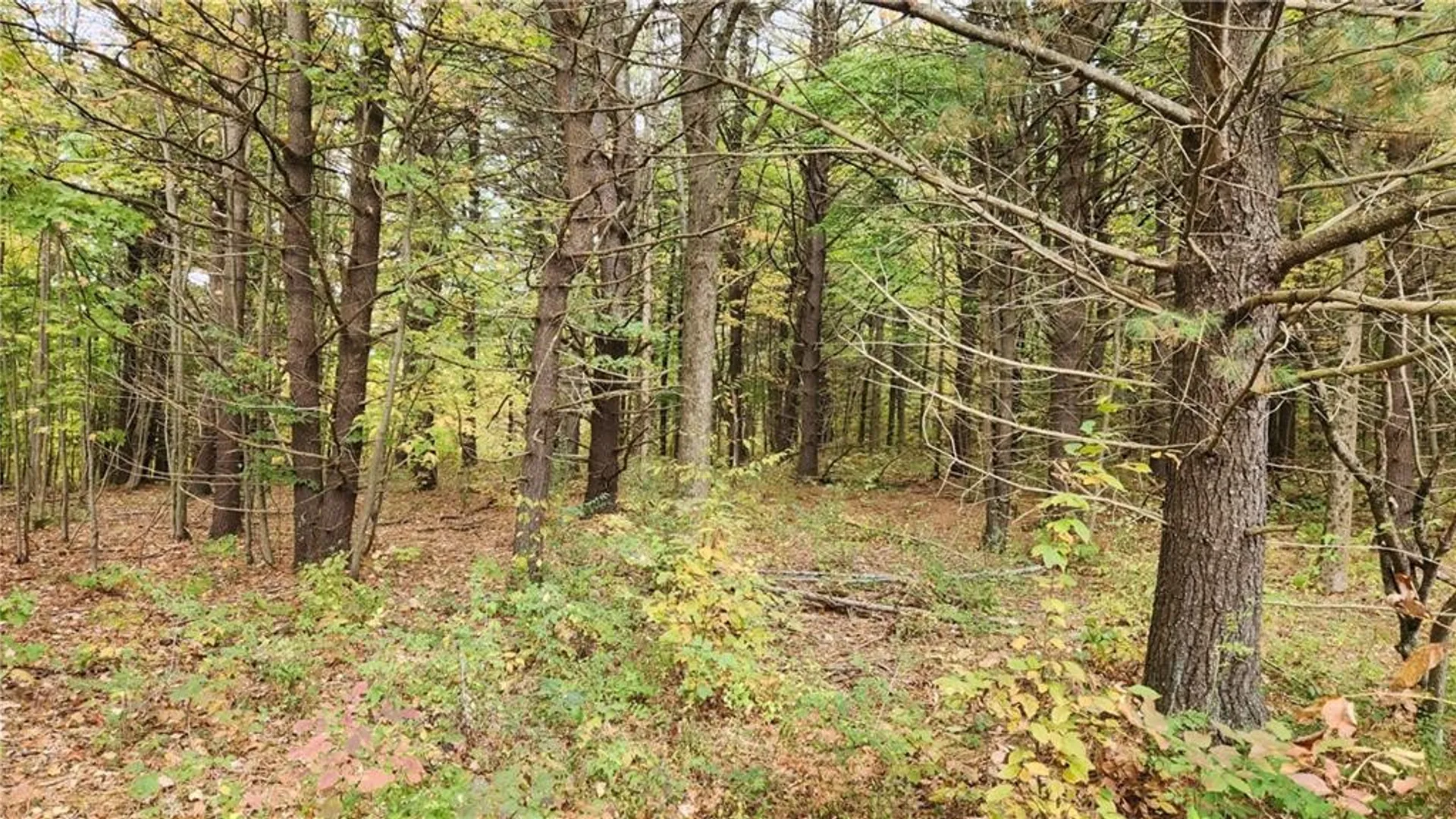 Property at Hanyon Road, Canisteo, NY 14823 27