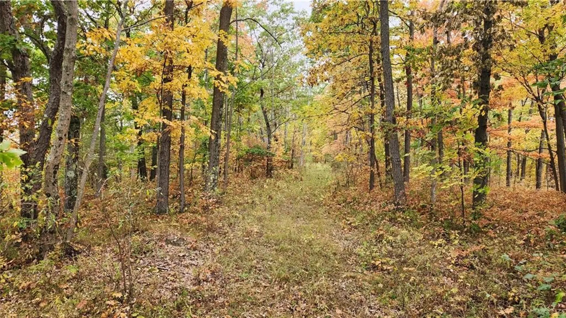 Property at Hanyon Road, Canisteo, NY 14823 28
