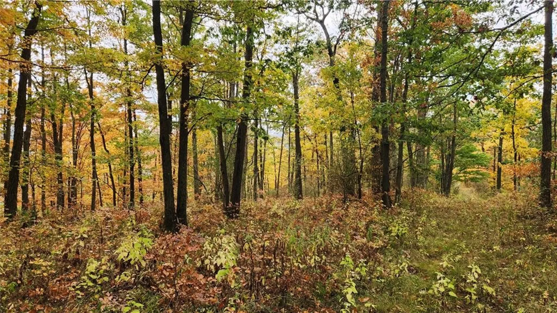 Property at Hanyon Road, Canisteo, NY 14823 29