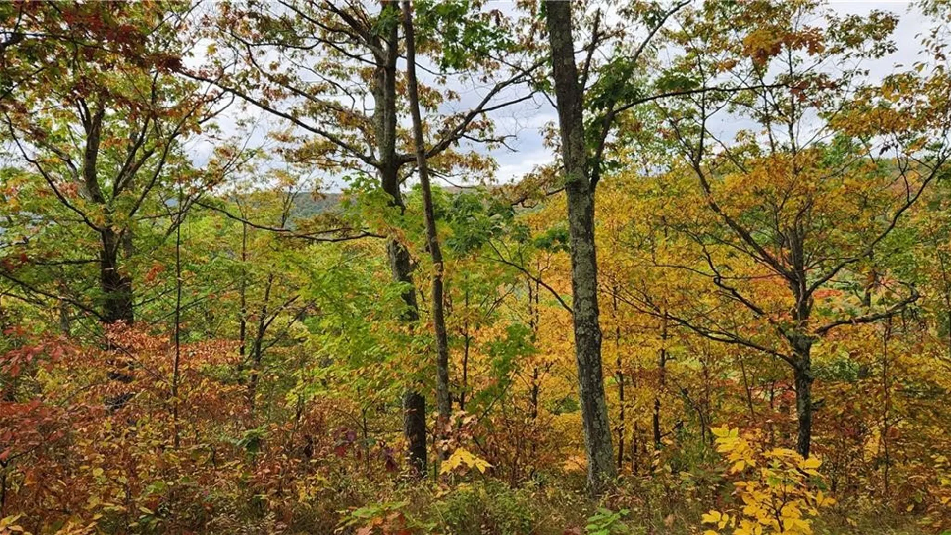 Property at Hanyon Road, Canisteo, NY 14823 30