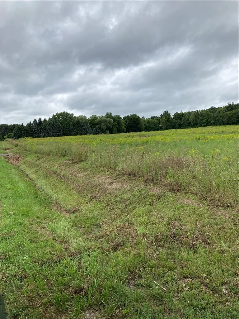 Property at 9027 Schuster Rd, Sparta, NY 14437