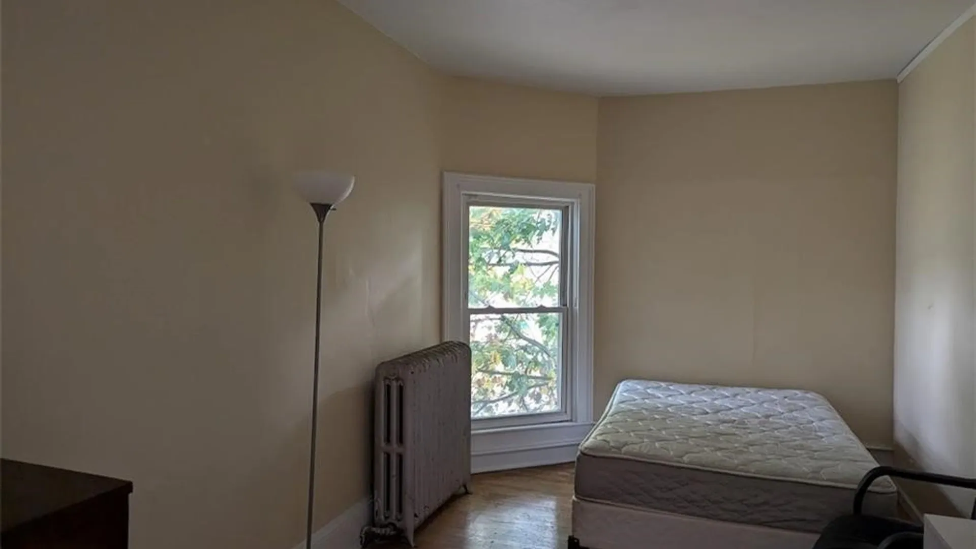 Property at 146 Tompkins Street, Cortland, NY 13045 31