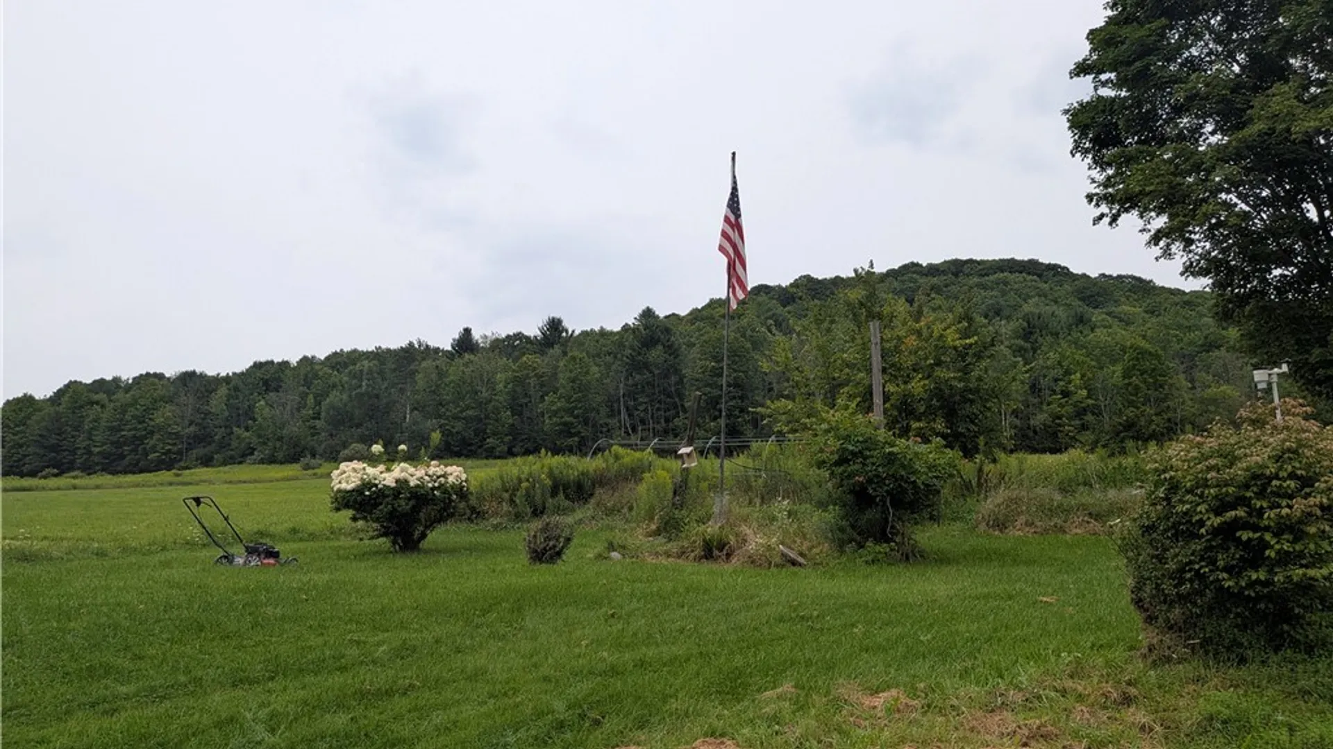 Property at 386 W Notch Road, Wirt, NY 14715 4