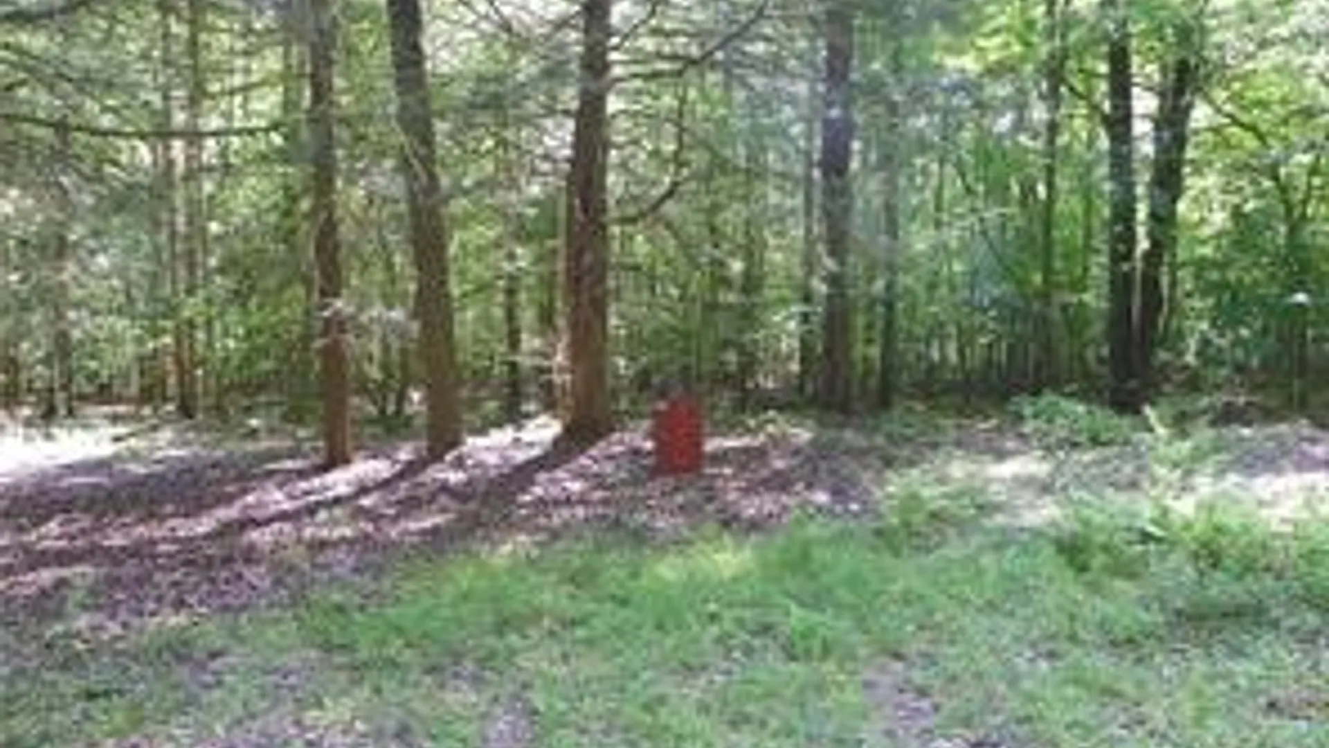 Property at 8021 Hickory Hill Road, Bath, NY 14810 24