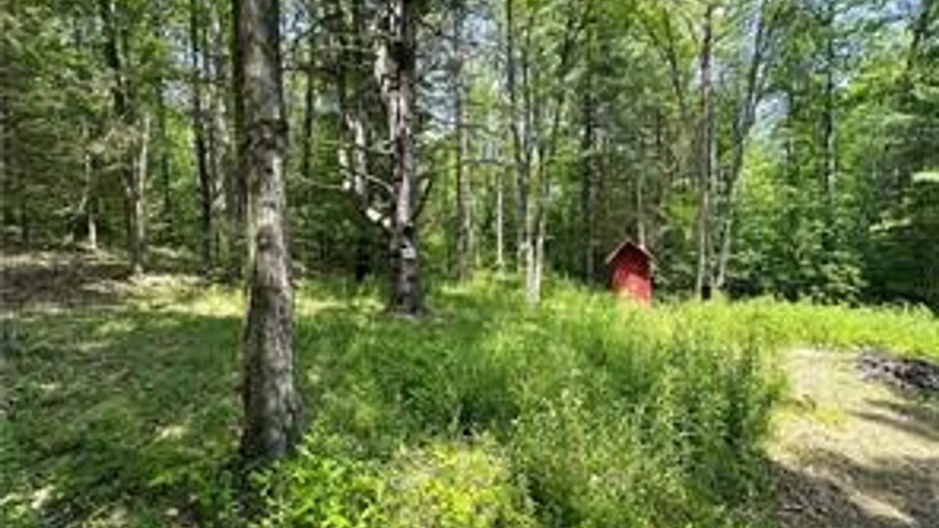 Property at 8021 Hickory Hill Road, Bath, NY 14810 25