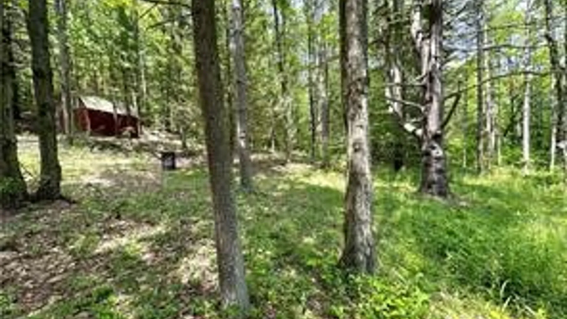 Property at 8021 Hickory Hill Road, Bath, NY 14810 26
