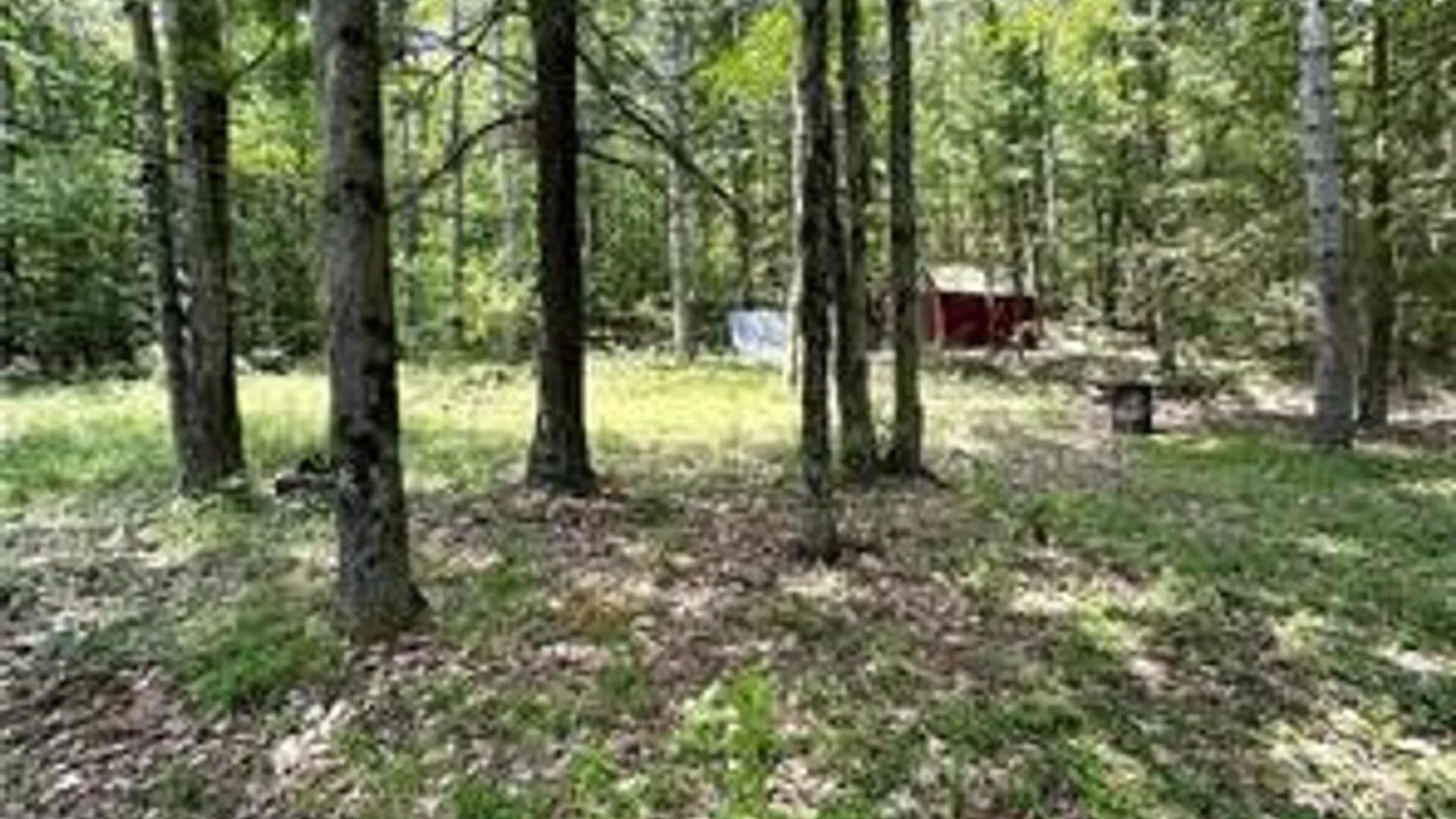 Property at 8021 Hickory Hill Road, Bath, NY 14810 27