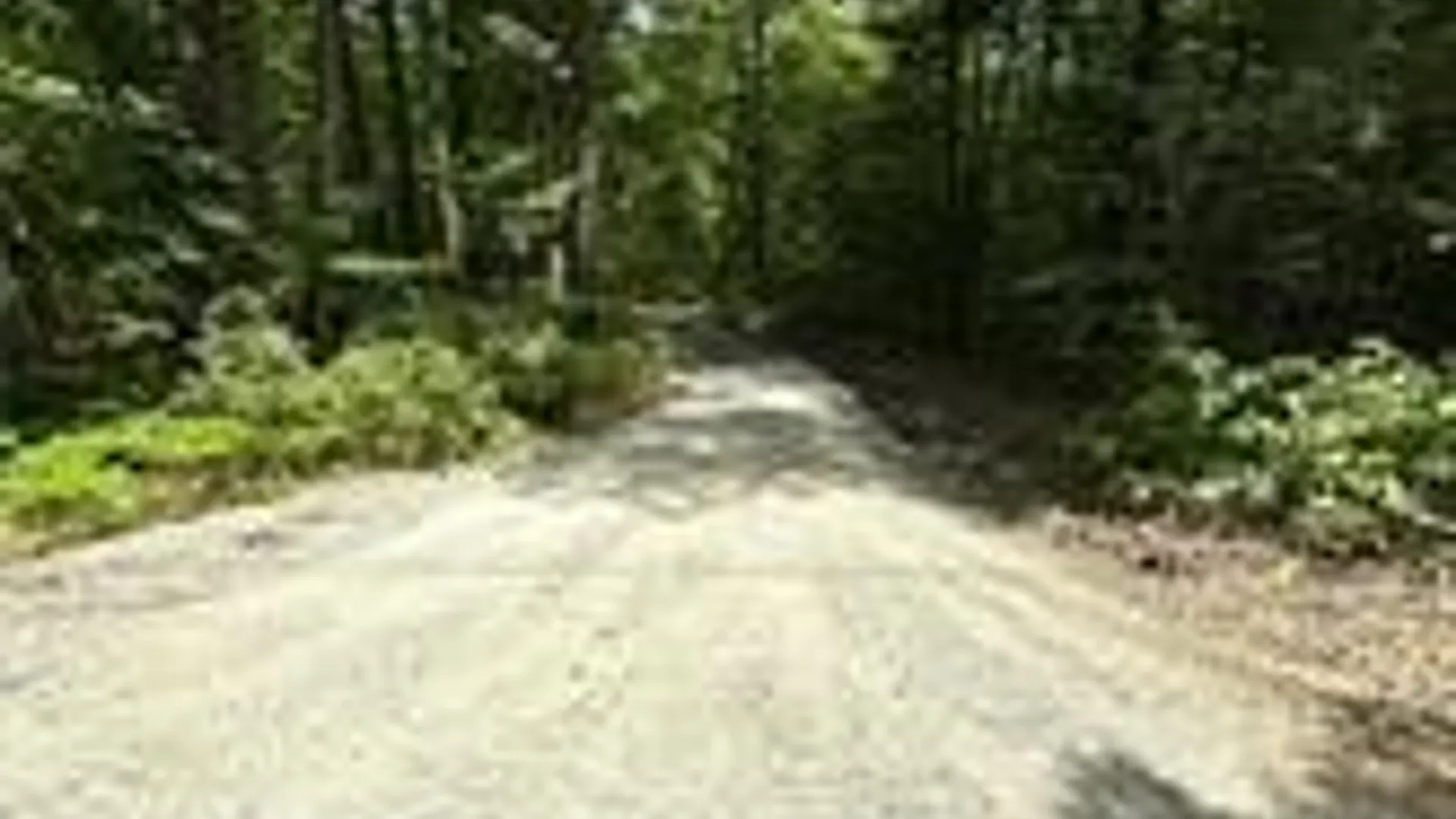 Property at 8021 Hickory Hill Road, Bath, NY 14810 28