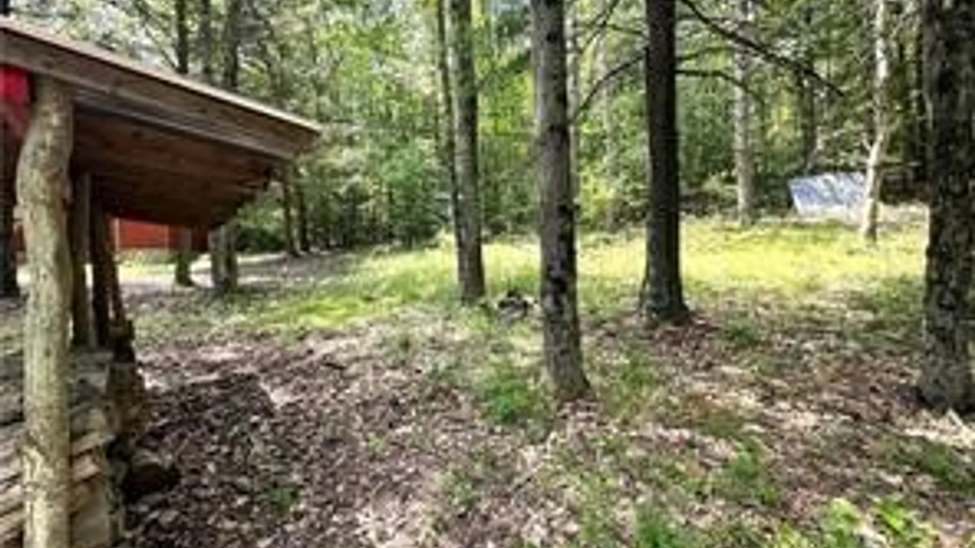 Property at 8021 Hickory Hill Road, Bath, NY 14810 29