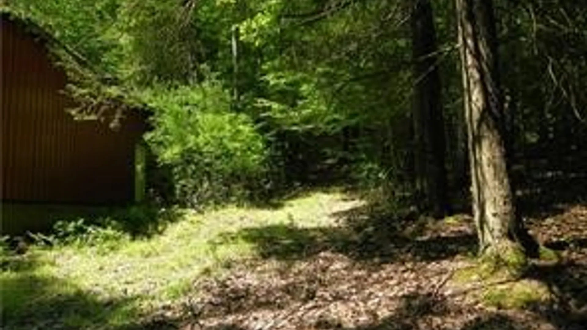 Property at 8021 Hickory Hill Road, Bath, NY 14810 5