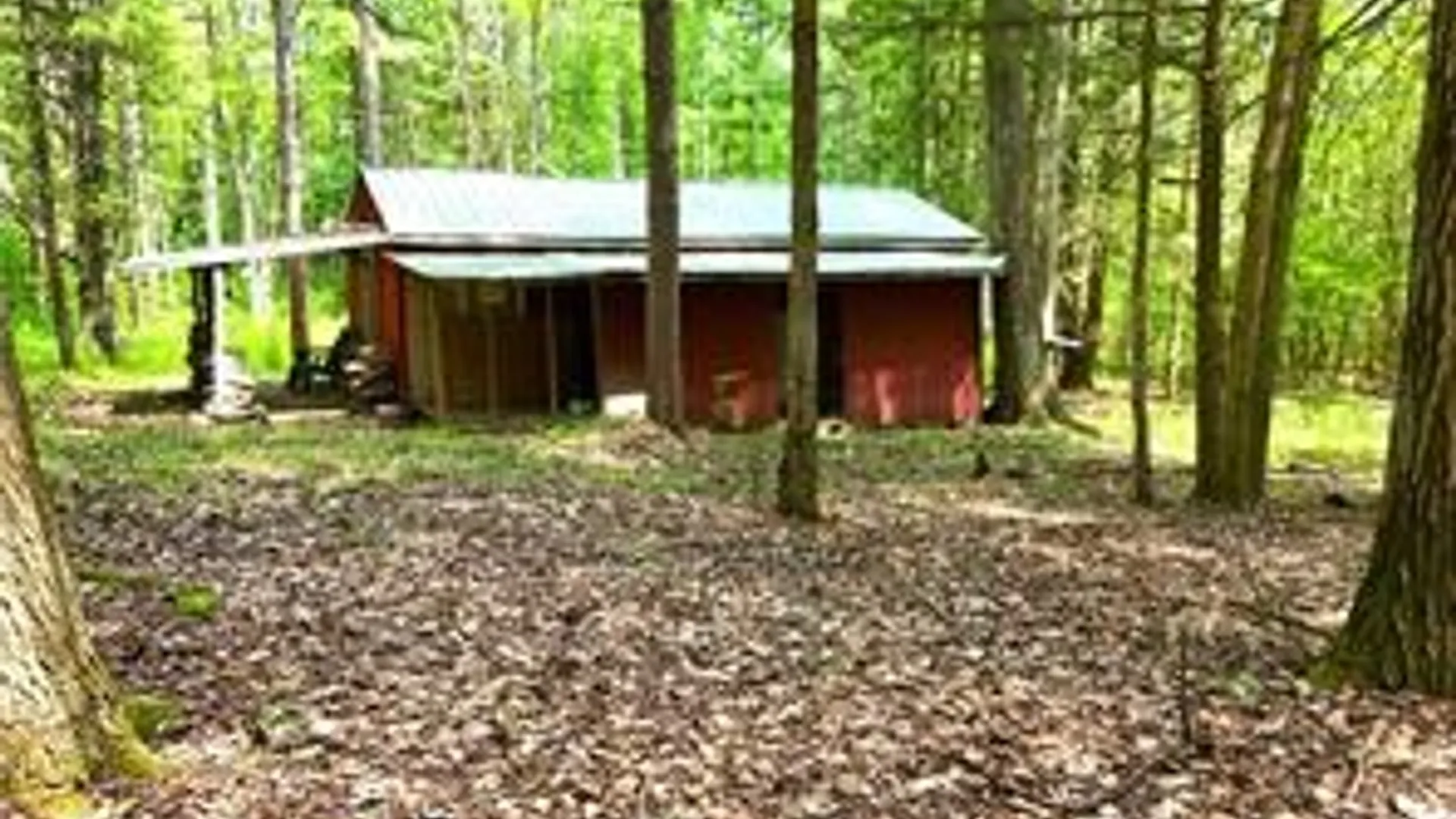 Property at 8021 Hickory Hill Road, Bath, NY 14810 34