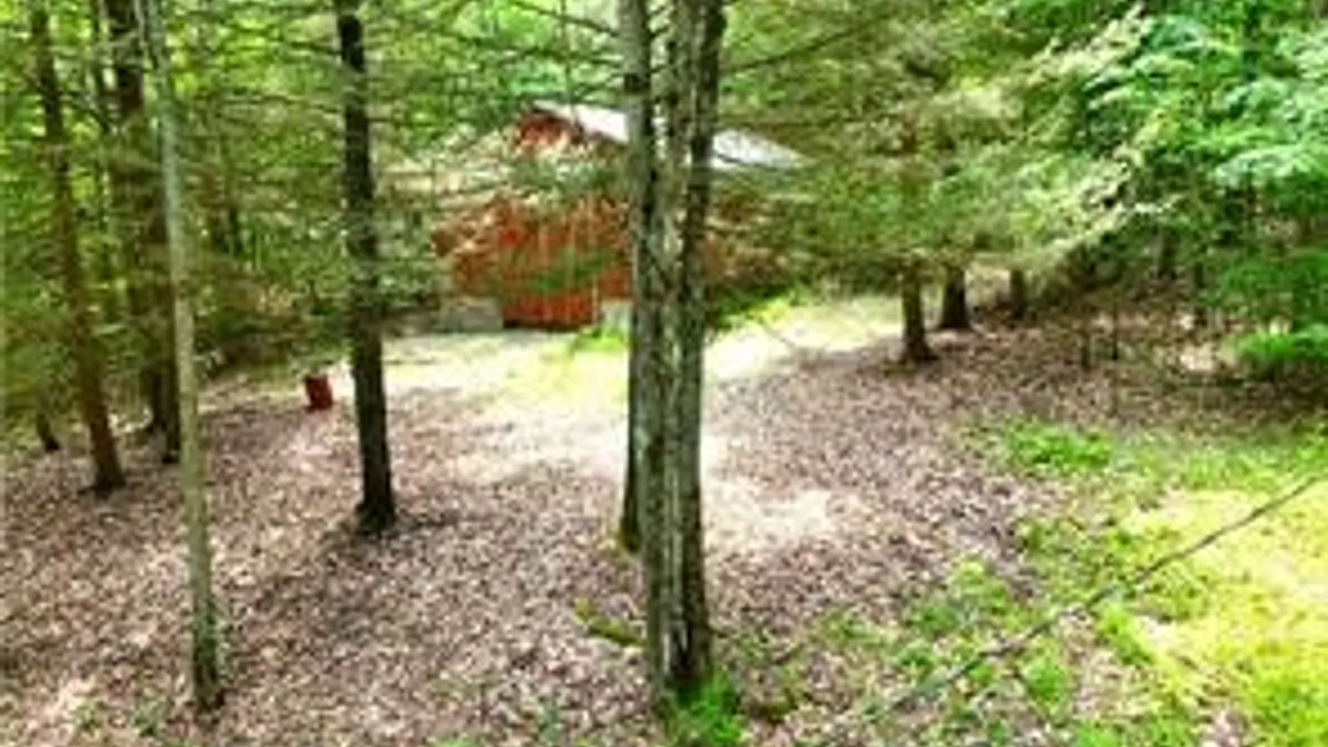 Property at 8021 Hickory Hill Road, Bath, NY 14810 35