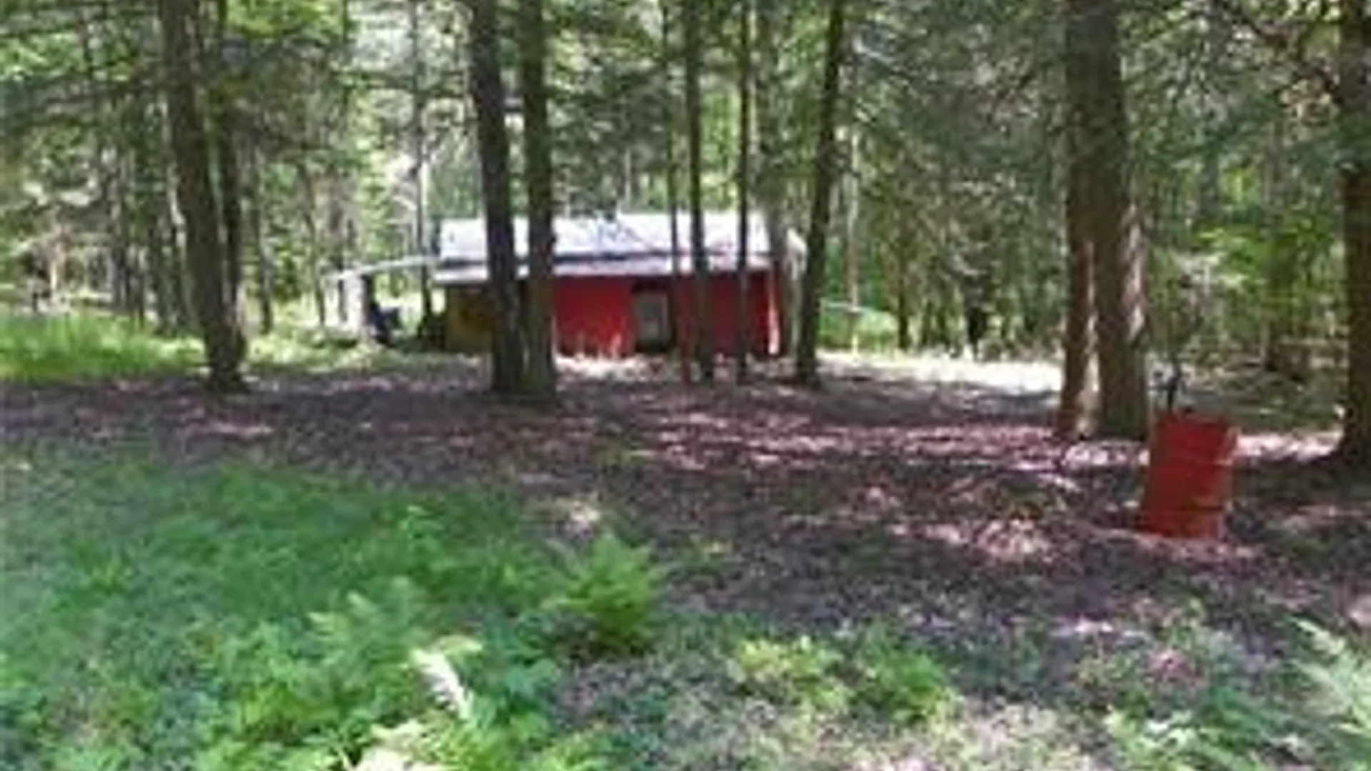 Property at 8021 Hickory Hill Road, Bath, NY 14810 38