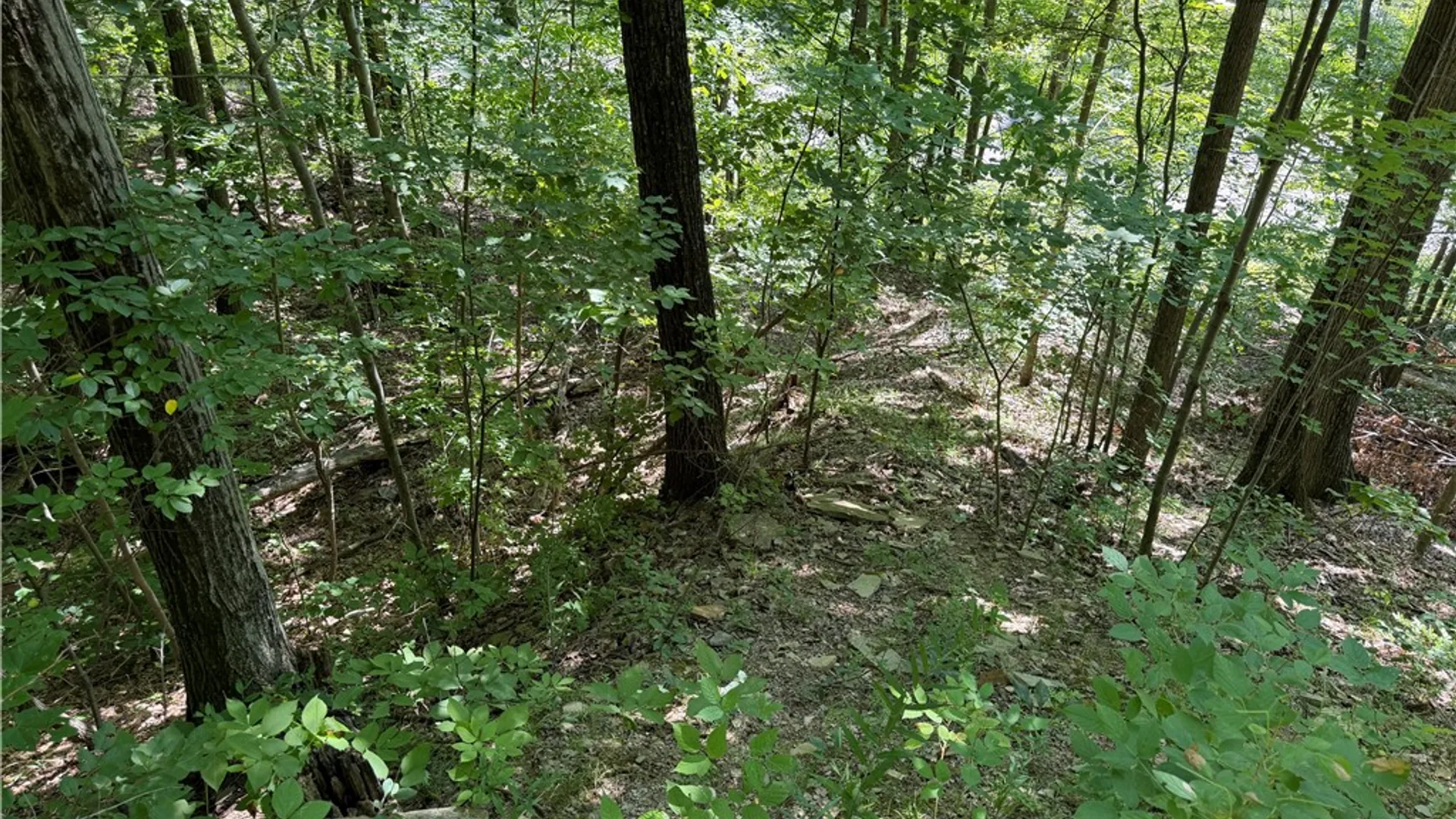 Property at WP01 Rt-70, Grove, NY 14884 21