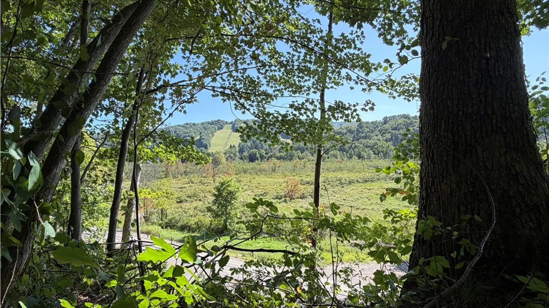 Property at WP01 Rt-70, Grove, NY 14884 23
