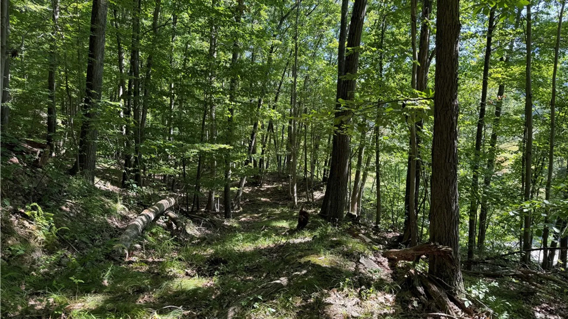 Property at WP01 Rt-70, Grove, NY 14884 24
