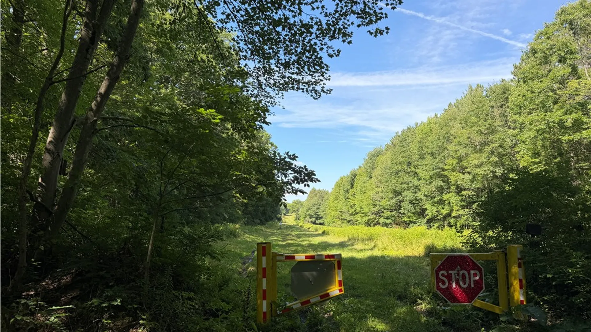Property at WP01 Rt-70, Grove, NY 14884 27