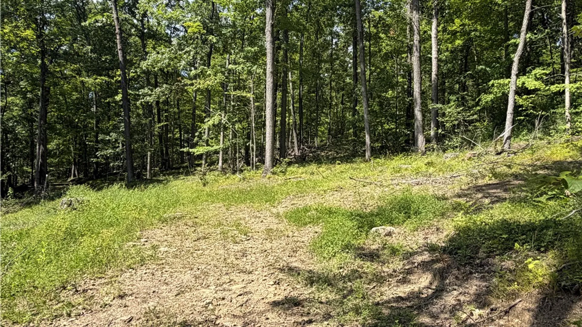 Property at WP01 Rt-70, Grove, NY 14884 36