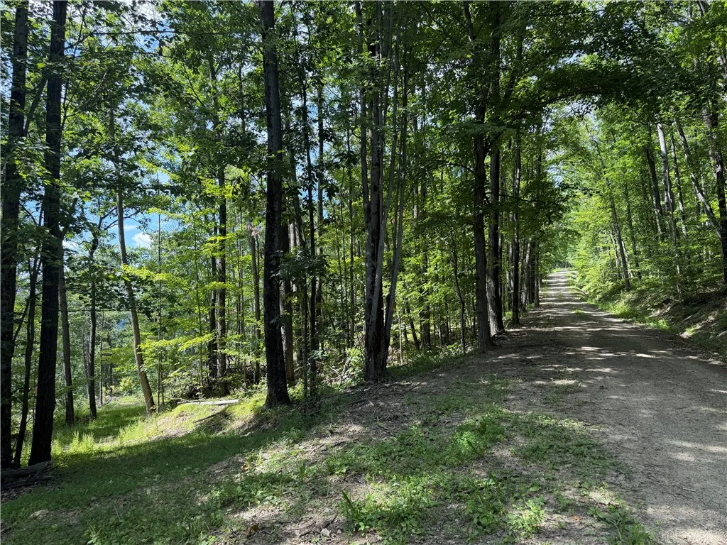 Property at WP01 Rt-70, Grove, NY 14884