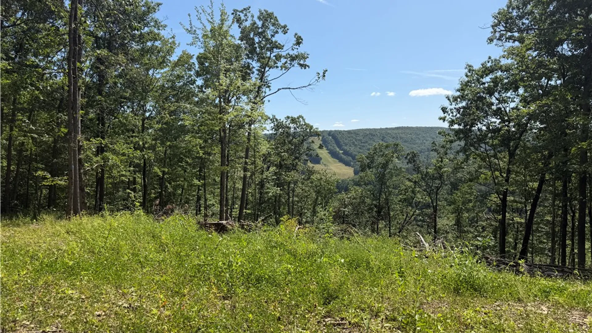 Property at WP01 Rt-70, Grove, NY 14884 4