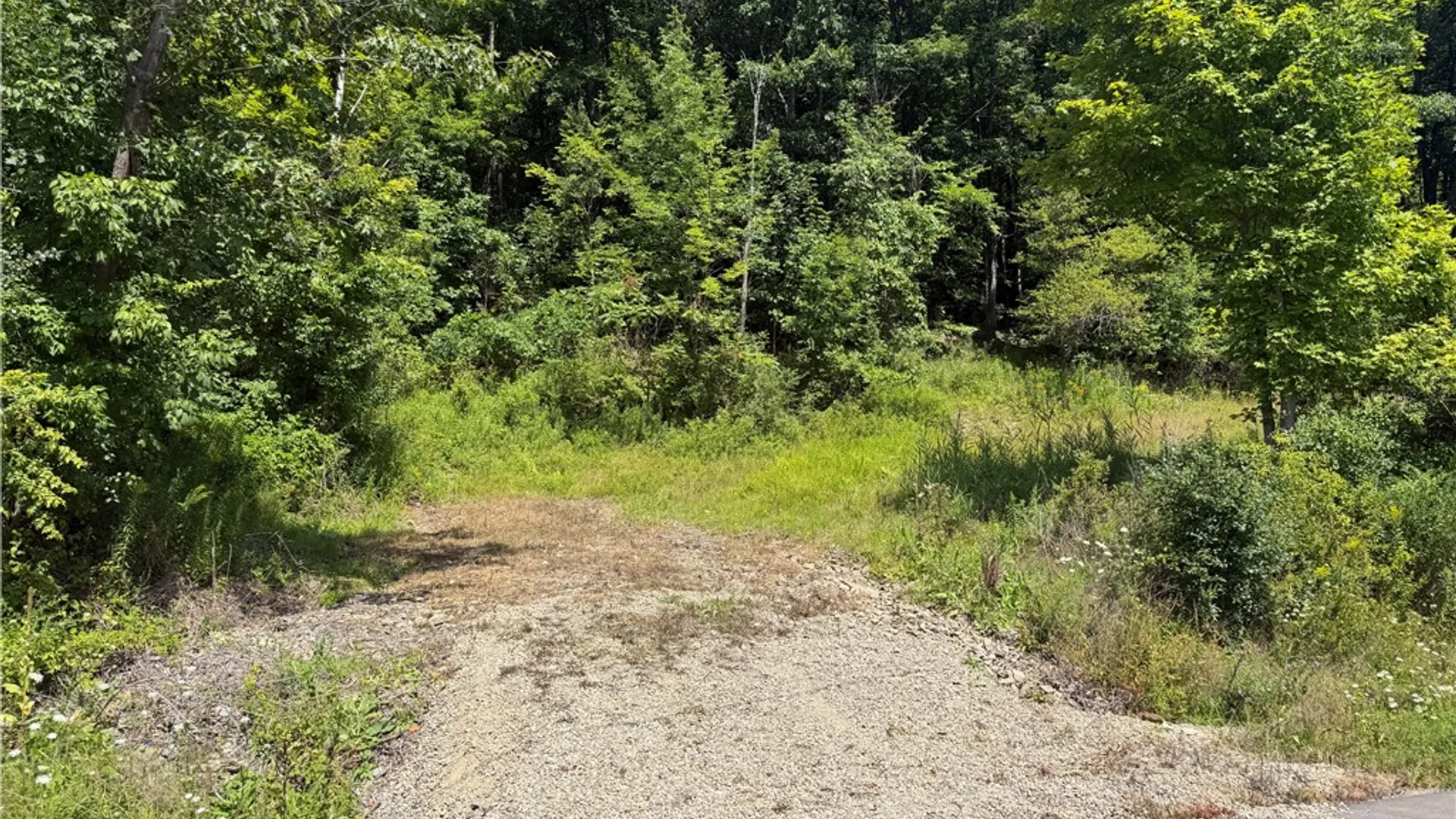 Property at WP01 Rt-70, Grove, NY 14884 10