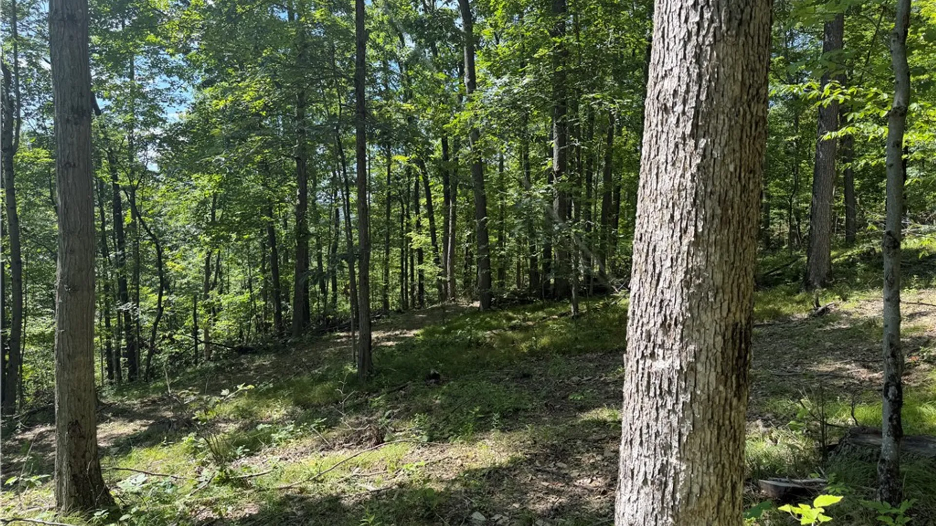 Property at WP01 Rt-70, Grove, NY 14884 14
