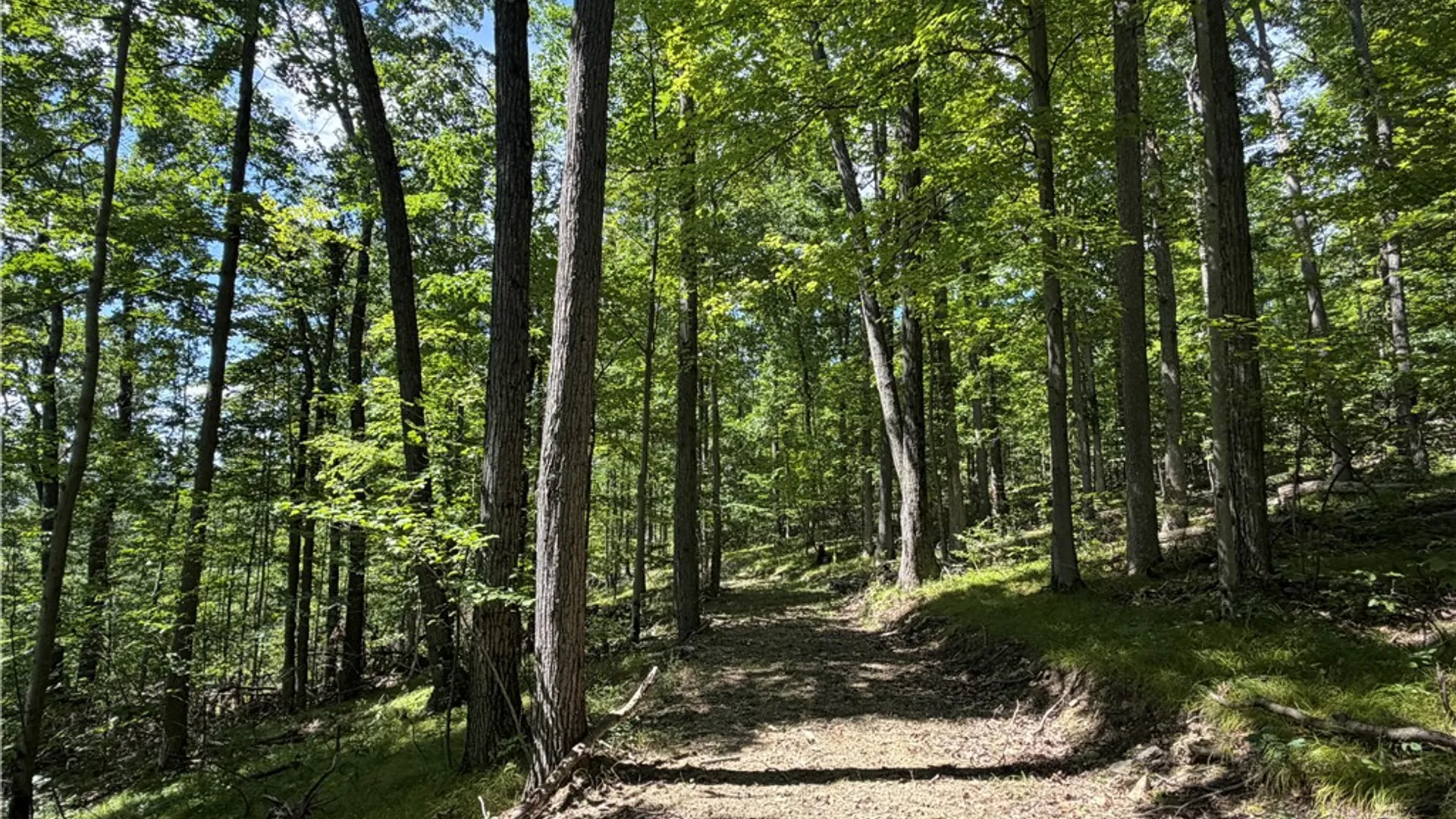 Property at WP01 Rt-70, Grove, NY 14884 16
